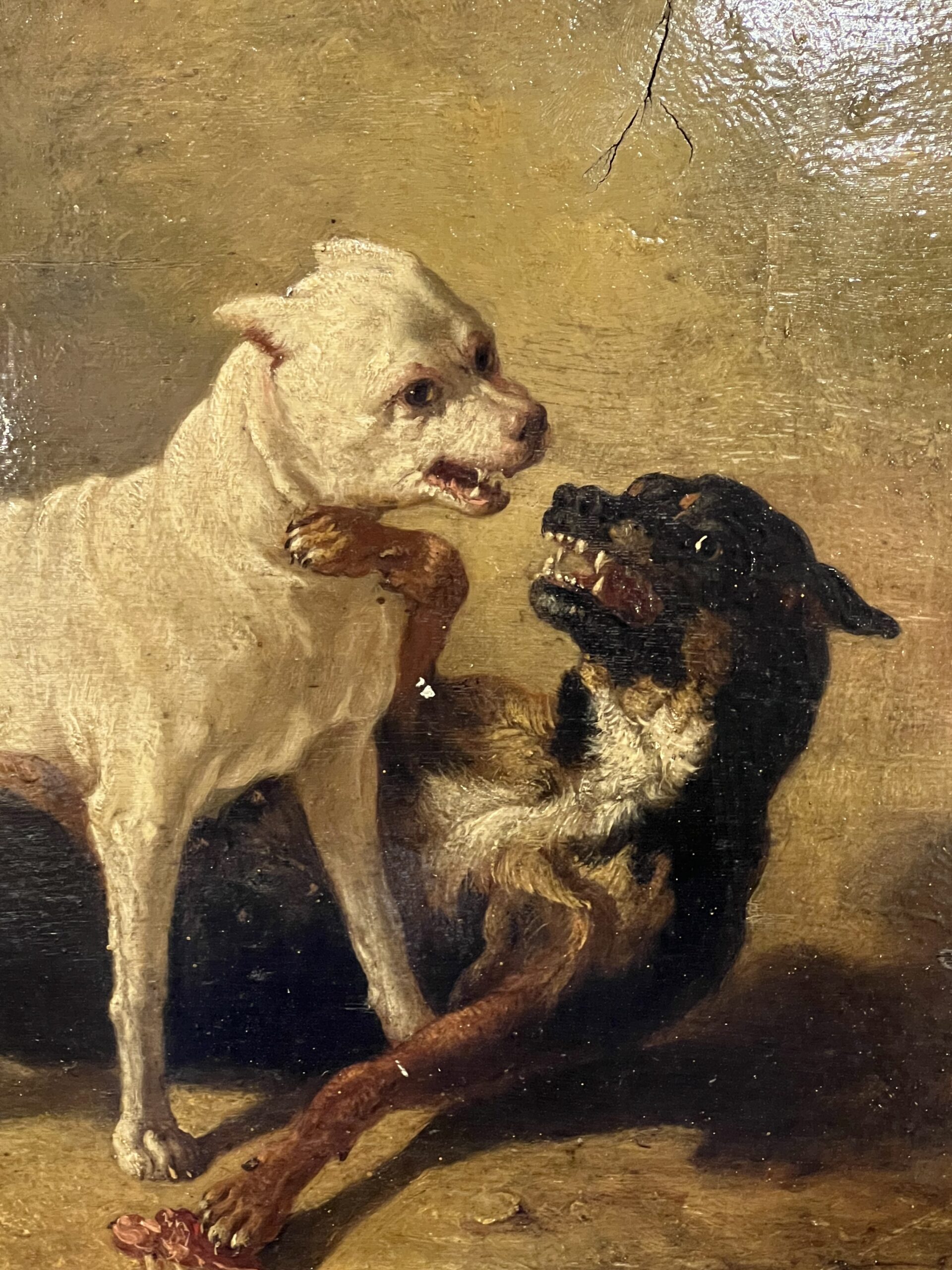 Jean Baptiste Louis GUY ? Huile sur panneau, combat de deux bouledogues – Image 4
