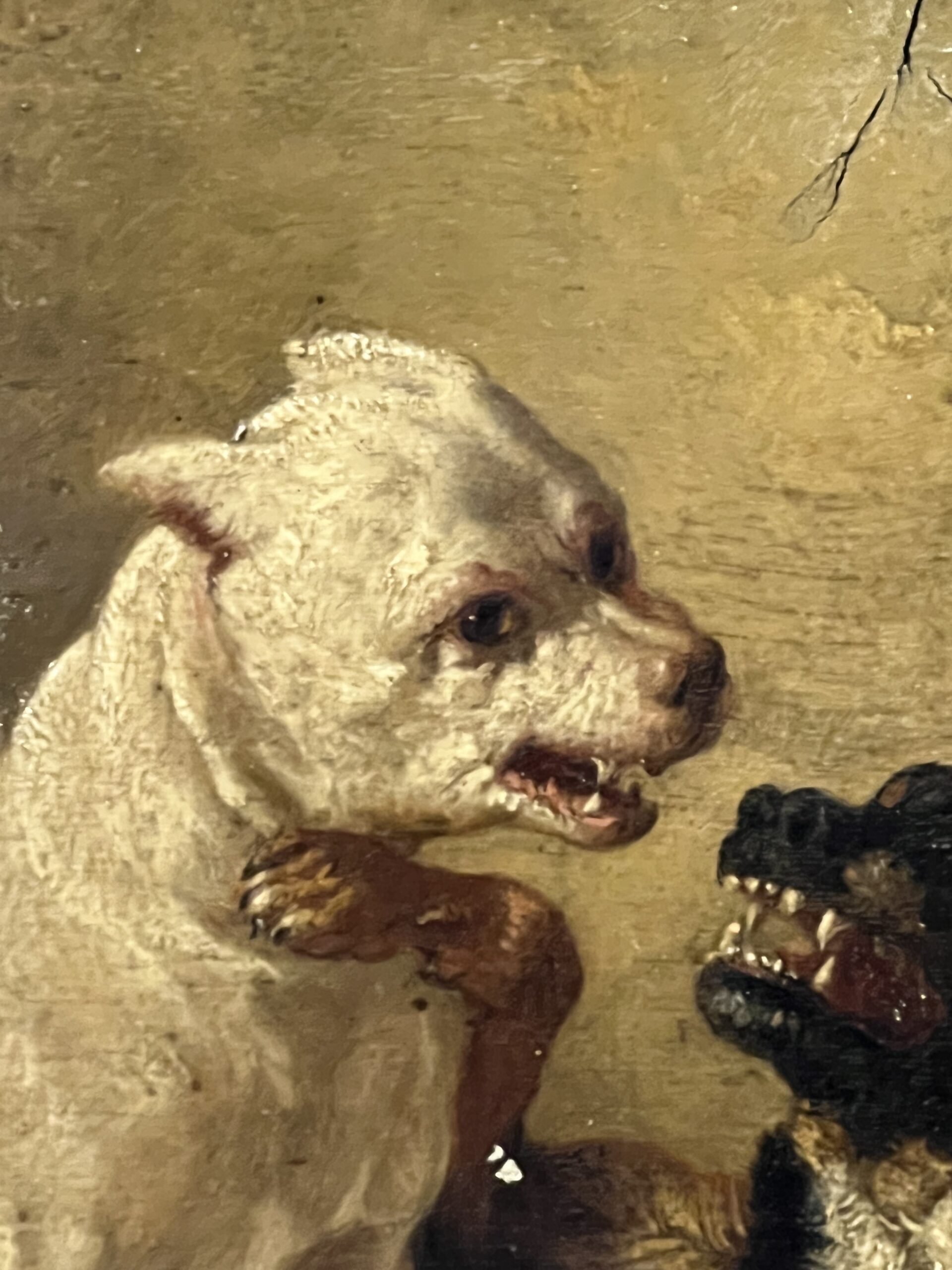Jean Baptiste Louis GUY ? Huile sur panneau, combat de deux bouledogues – Image 6