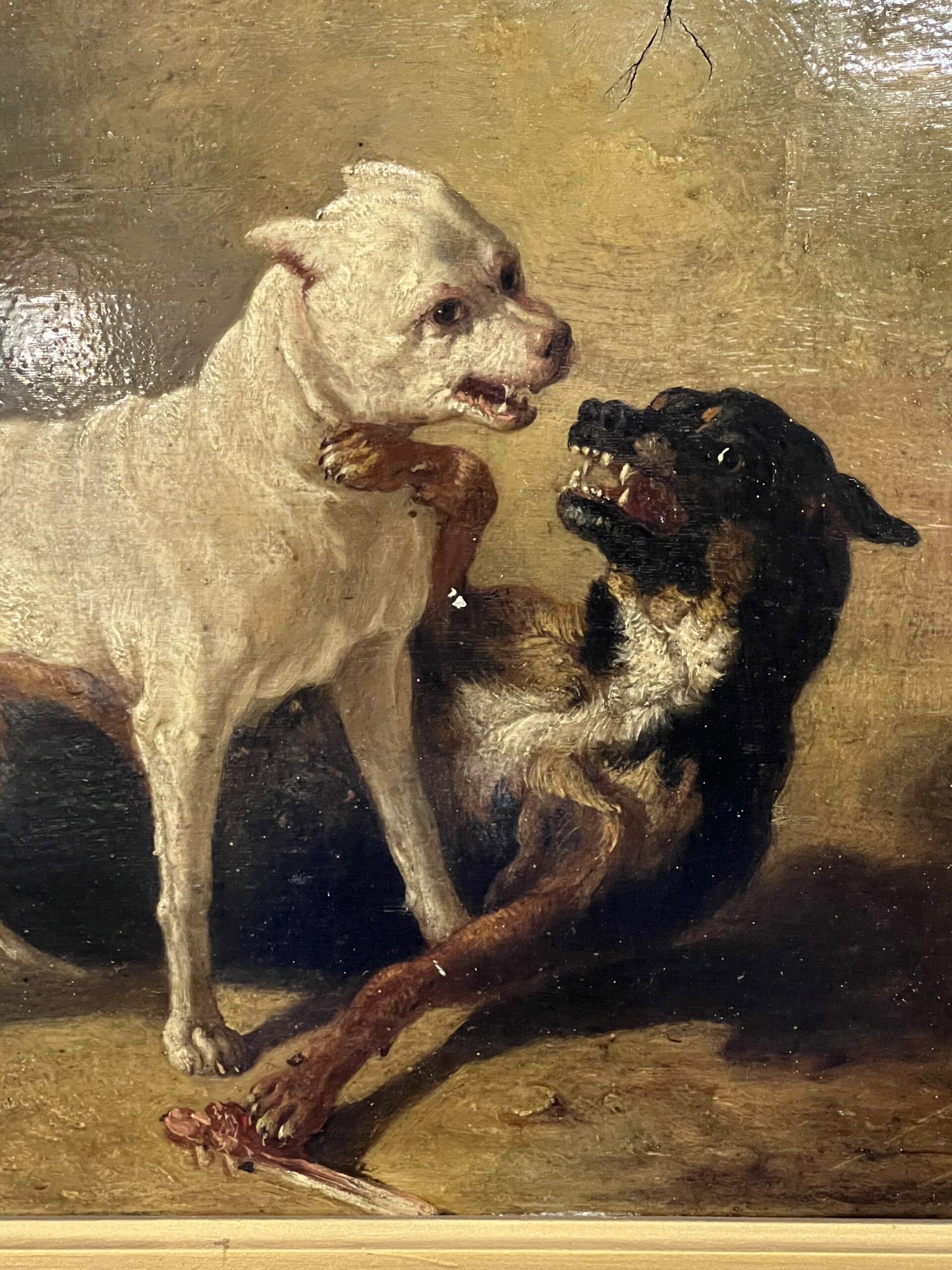 Jean Baptiste Louis GUY ? Huile sur panneau, combat de deux bouledogues – Image 7