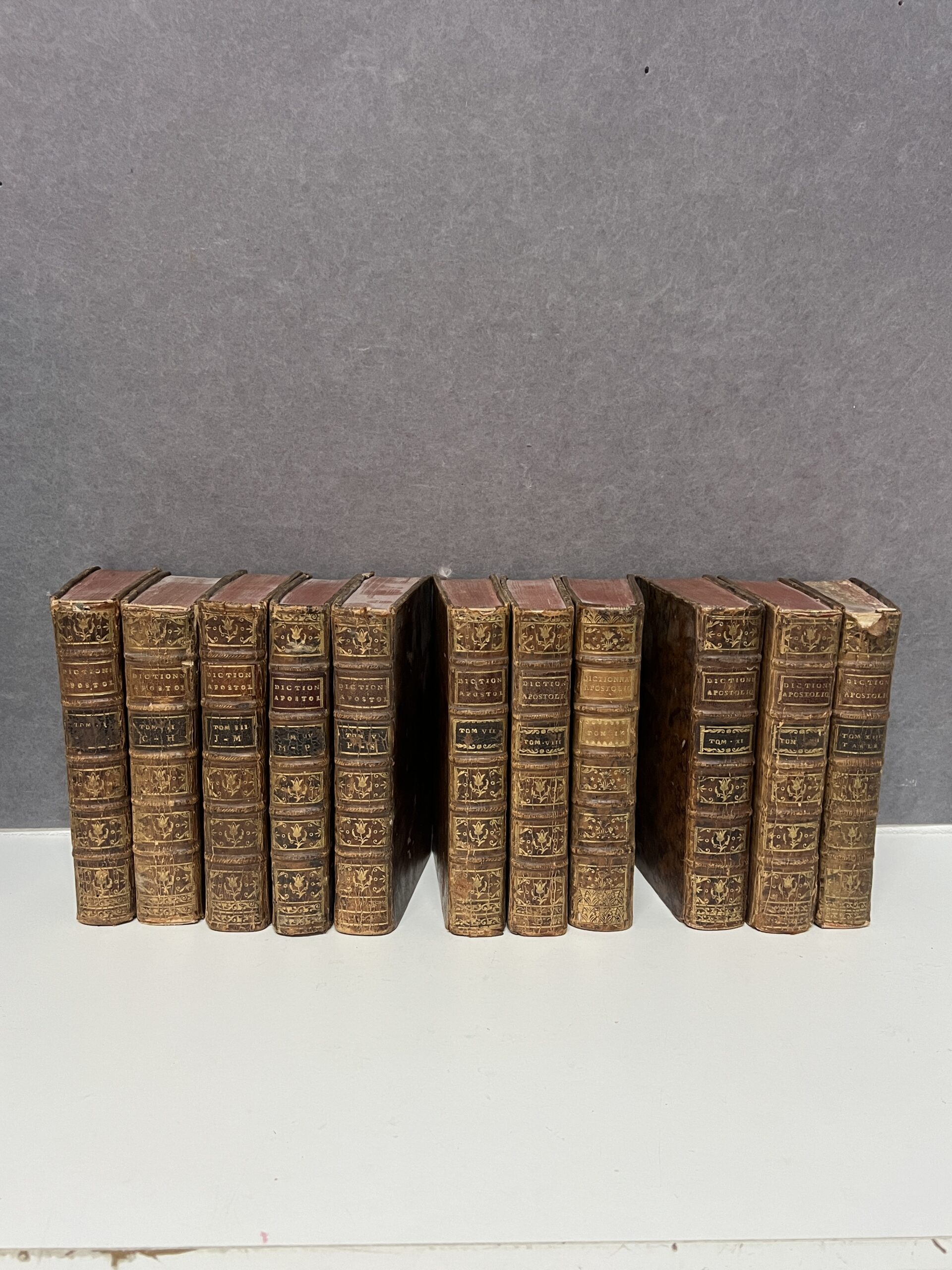 11 tomes du dictionnaire Apostolique à l'usage de messieurs les curés