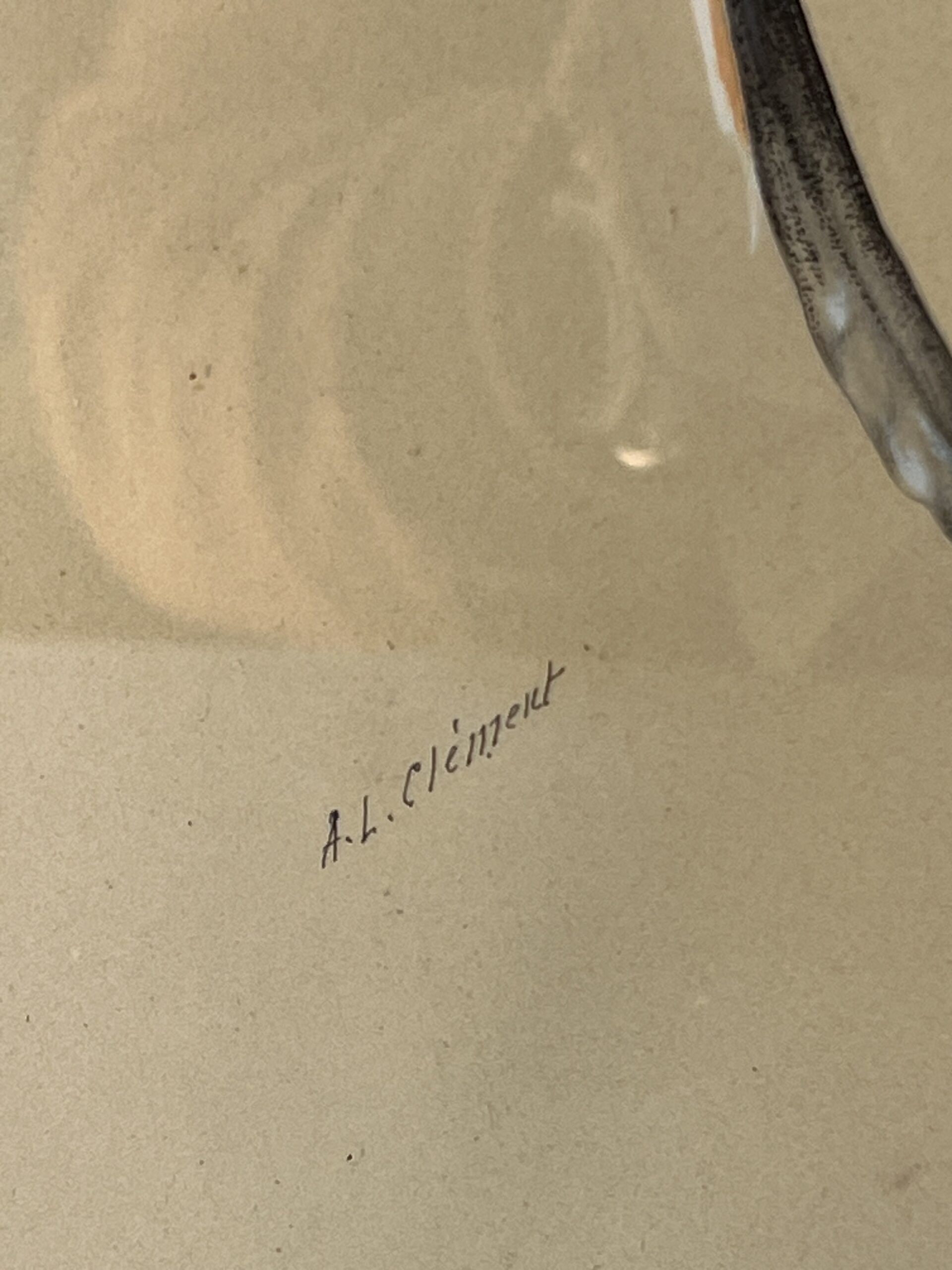 Dessin ancien, aquarelle d'un papillon signé A L Clément – Image 9