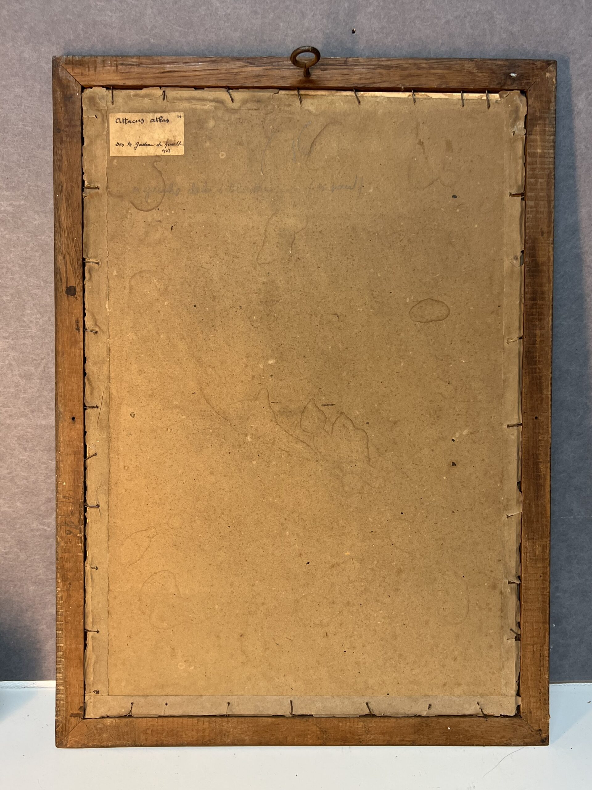 Dessin ancien, aquarelle d'un papillon signé A L Clément – Image 12