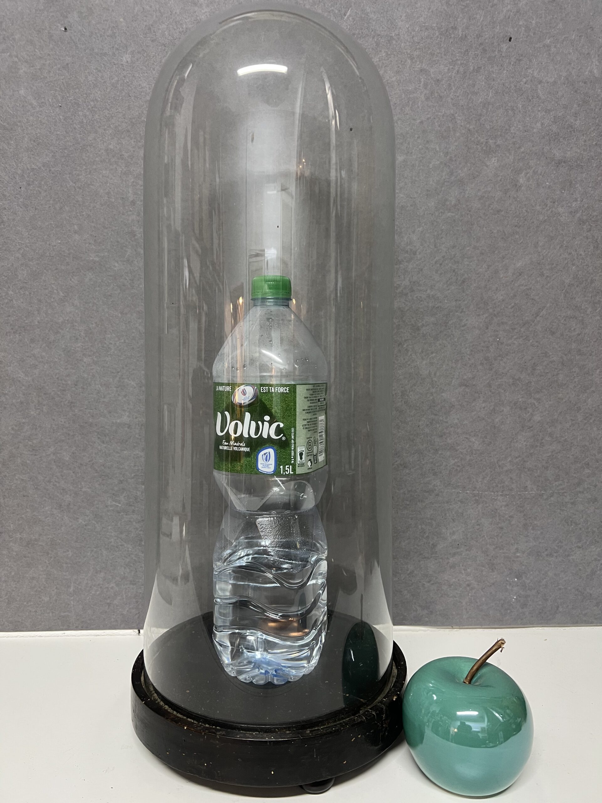 Globe de marié, époque XIXe, Napoléon III – Image 4