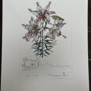 Gravure couleur d'après DALI, Erotic Lily, signé et numéroté