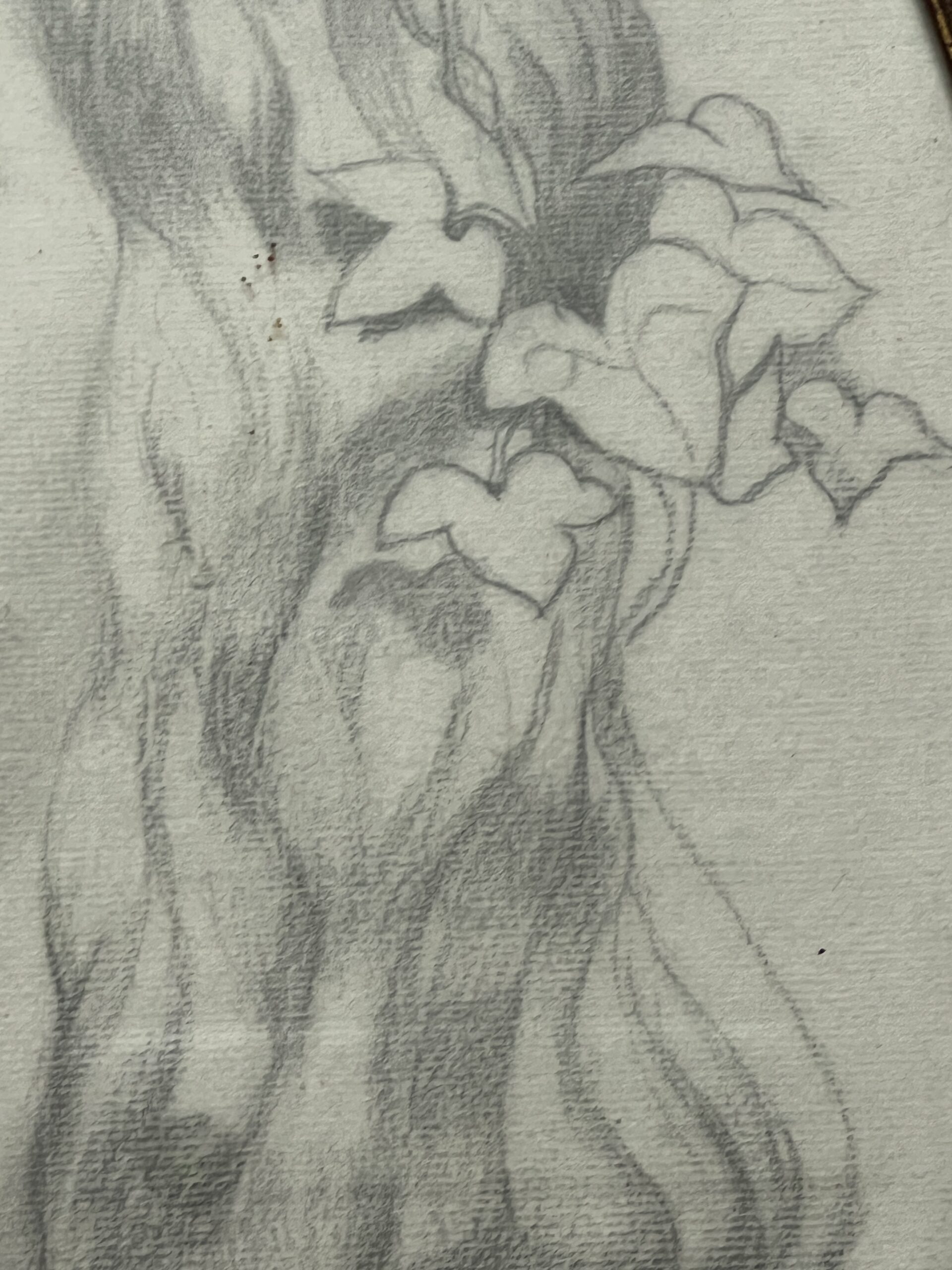 Dessin original représentant le portrait d'une jeune femme, bien fait, presque art nouveau